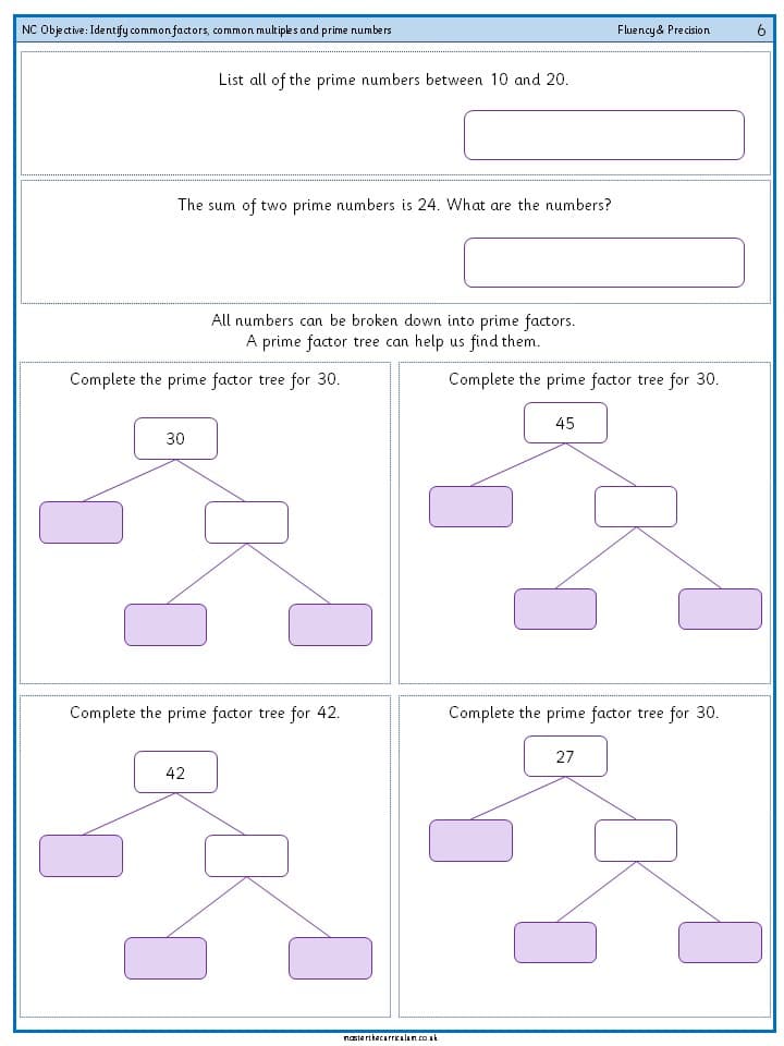 Cover of Identify common factors, common multiples and prime numbers
