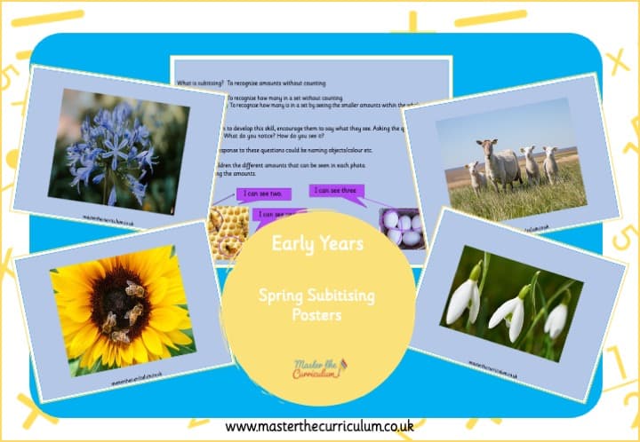 Cover of Spring Subitising Images