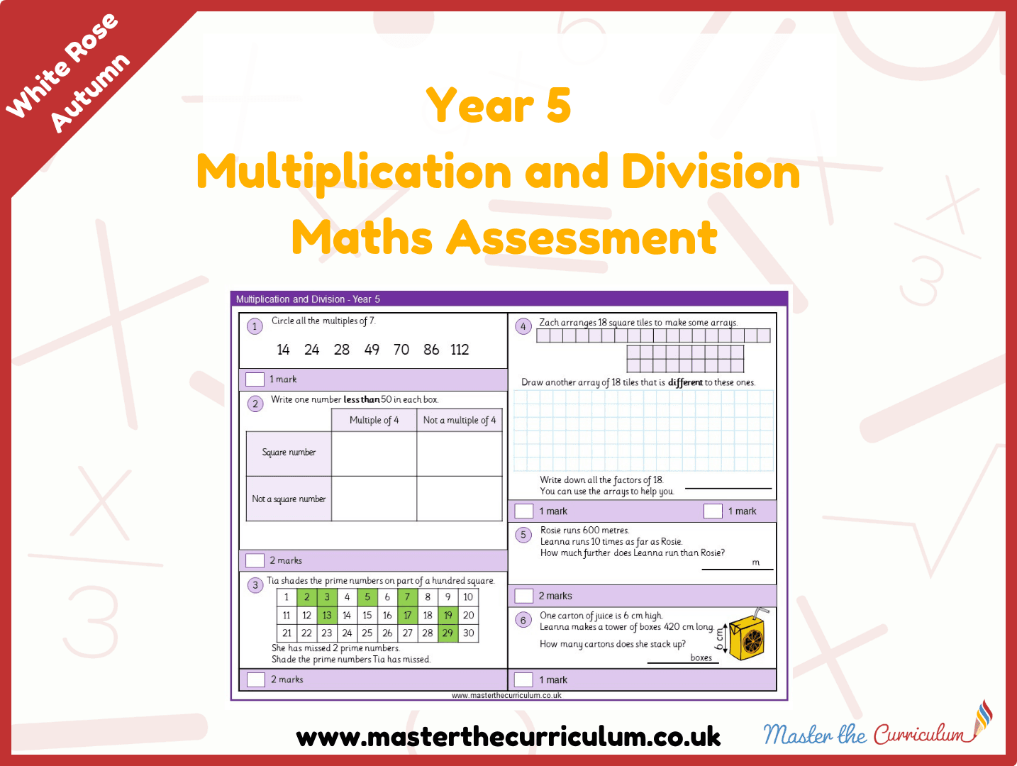 Cover of Year 5 Multiplication and Division Maths Assessment