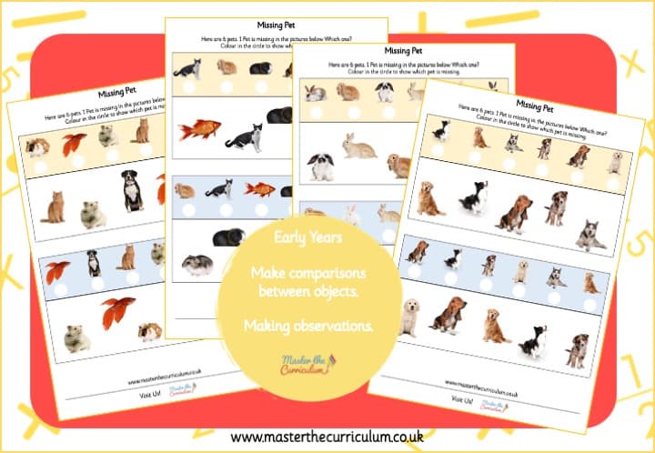 Cover of Missing Pet Activity