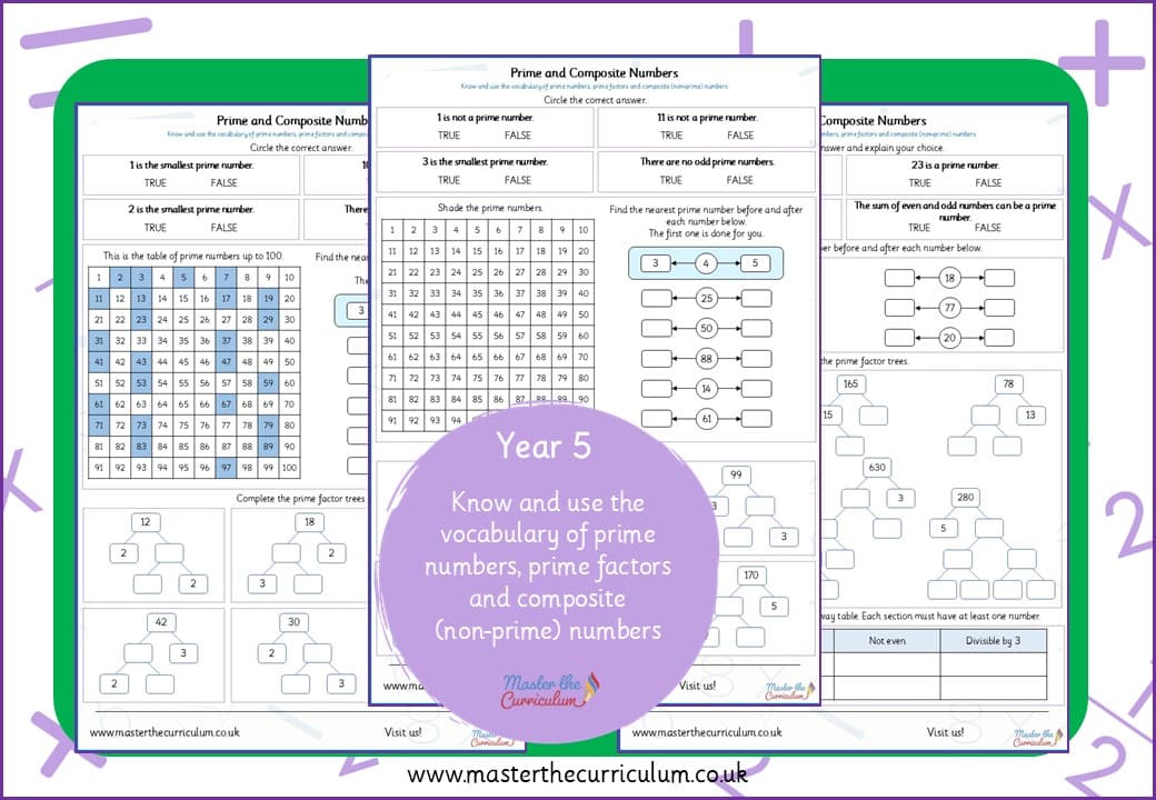 Cover of Prime and Composite Numbers