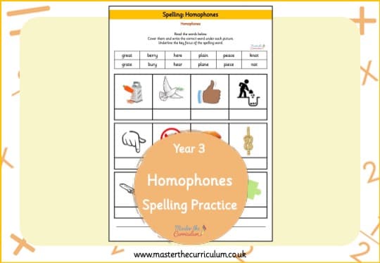 Cover of Homophones Spelling Practice