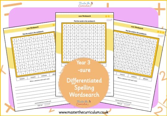 Cover of sure – Spelling Wordsearch