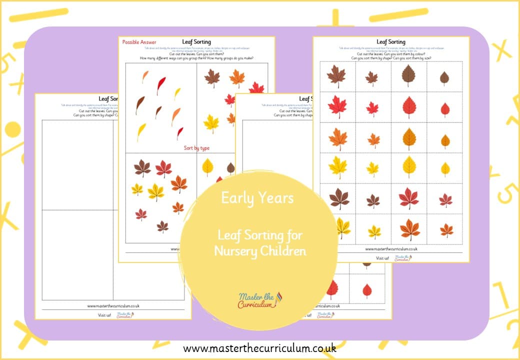 Cover of Leaf Sorting
