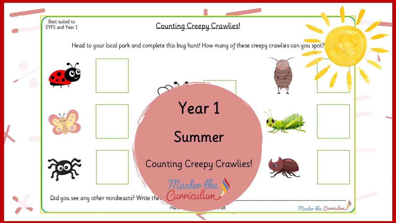 Cover of Summer Counting Creepy Crawlies!