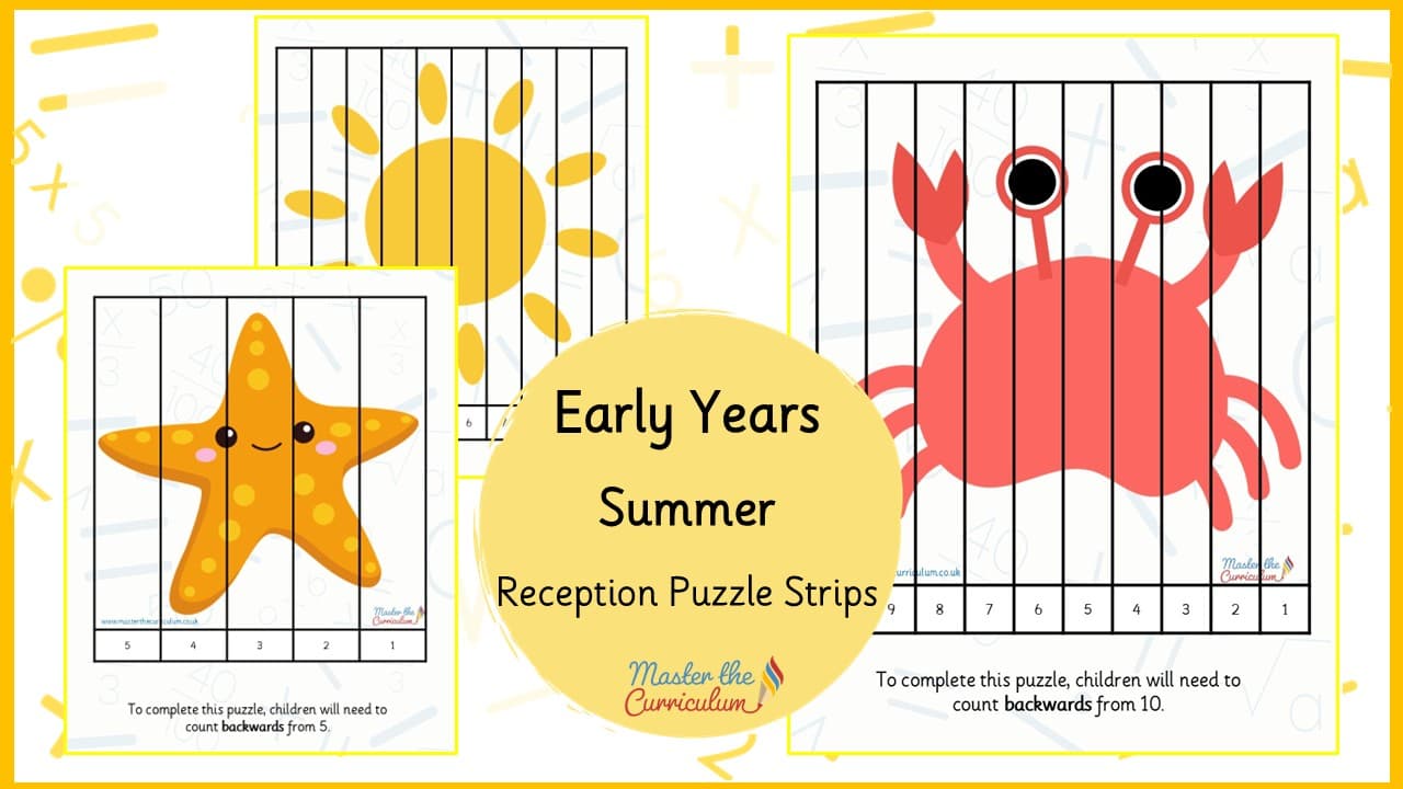 Cover of Summer Puzzle Strips – Reception
