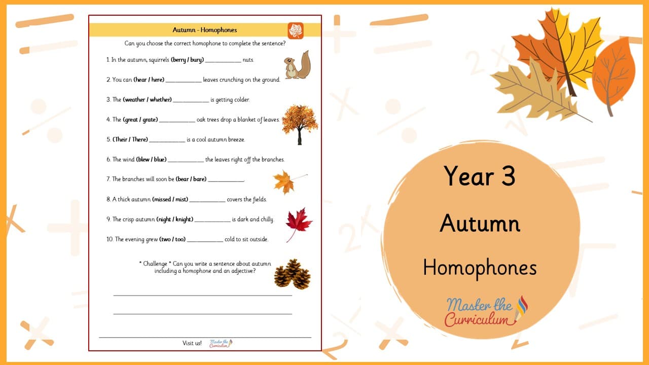 Cover of Autumn Homophones
