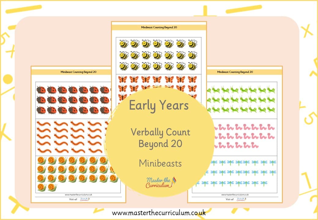Cover of Counting Beyond 20 – Minibeasts