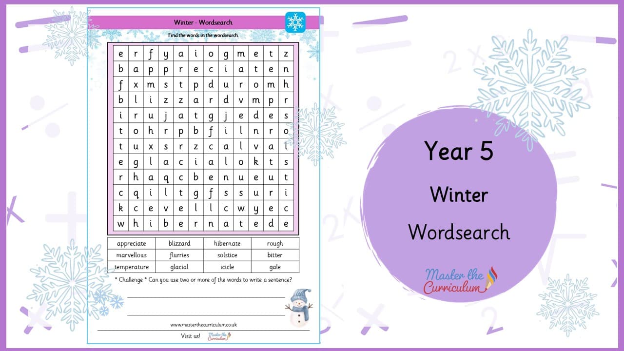 Cover of Winter Wordsearch